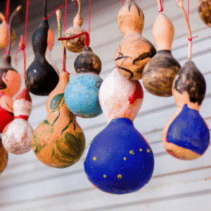CIV Dipper Gourd